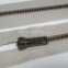 Zips vetrovkový, kosticový - KOV - 85 cm - Svetlošedá 39