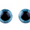 Bezpečnostné oči glitrové Ø25 mm - Modrá 04