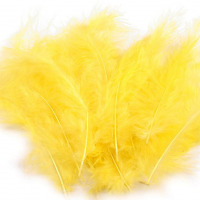 Pštrosie perie dĺžka 9-16 cm - Žltá