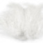Pštrosie perie dĺžka 9-16 cm - Biela