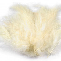 Pštrosie perie dĺžka 9-16 cm - Vanilka