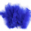 Pštrosie perie dĺžka 9-16 cm - Modrá kráľovská svetlá