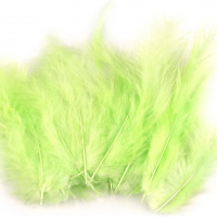 Pštrosie perie dĺžka 9-16 cm - Zelená svetlá