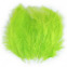 Pštrosie perie dĺžka 9-16 cm - Zelená limetková