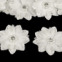 Kvet s korálikmi  Ø 50 mm - Krémová svetlá