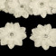 Kvet s korálikmi  Ø 50 mm - Krémová