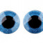 Bezpečnostné oči glitrové Ø40 mm - Modrá